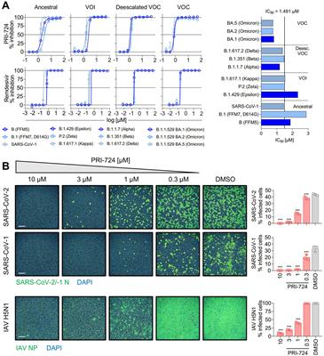 Machine learning on large scale perturbation screens for SARS-CoV-2 host factors identifies β-catenin/CBP inhibitor PRI-724 as a potent antiviral